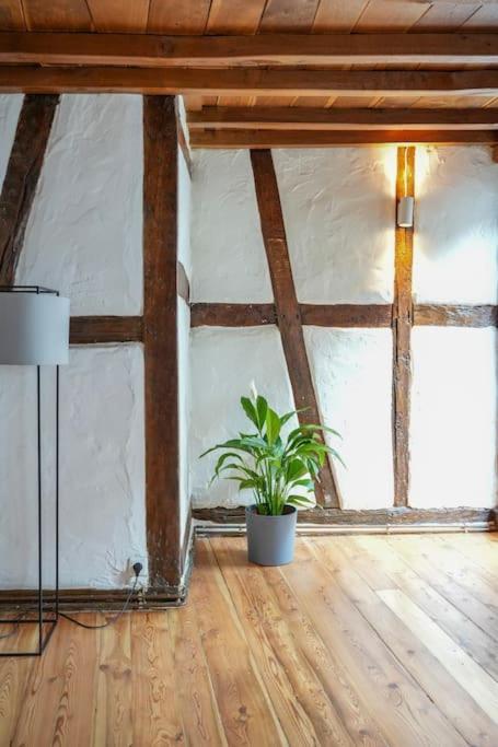 Charmante Fachwerk Wohnung Mit Terrasse In Der Altstadt Кобленц Екстериор снимка